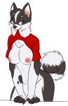  anthro big_breasts blue_eyes bottomless breasts canine chest_tuft clothed clothing clothing_lift digital_media_(artwork) dog elvira_vasnetsov_(sabre_dacloud) female flashing husky mammal mouth_hold nipples shirt shirt_lift slovenskiy smile solo sugarr tuft 