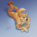  abstract_background butt canine dog laser_(artist) male mammal nude pawpads paws shiba_inu solo tongue 