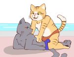  2018 anthro beach black_fur black_nose blue_eyes blue_sclera blush brown_fur bulge bulge_frottage cat clothed clothing digital_drawing_(artwork) digital_media_(artwork) dipstick_tail duo feline frottage fur hindpaw kuehiko_roshihara male male/male mammal markings multicolored_fur multicolored_tail nipples open_mouth outside pawpads paws pink_nose reisho seaside sex shiny simple_background smile striped_fur striped_tail stripes tapio_chatarozawa topless underwear whiskers working_buddies! yellow_eyes yellow_sclera 