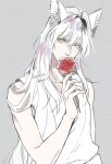 1boy animal_ears bare_shoulders bishounen collarbone commentary_request dated eyelashes flower fox_boy fox_ears grey_background hair_between_eyes highres holding holding_flower kurama_(yu_yu_hakusho) long_hair looking_at_viewer male_focus multicolored_hair partially_colored red_flower red_rose rose shirt simple_background sleeveless sleeveless_shirt solo twitter_username upper_body white_hair white_shirt yellow_eyes ykmr_(haga) yu_yu_hakusho 