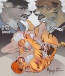 2026 5_fingers angry anthro biped black_body black_fur blood blood_from_mouth blood_from_slit blood_in_mouth blood_on_belly blood_on_body blood_on_face blood_on_hand bodily_fluids broken_glasses brown_body brown_fur bruised bruised_eye canid canine canis clawing claws clenched_teeth colored countershade_face countershade_torso countershading dawn_chorus dialogue digital_drawing_(artwork) digital_media_(artwork) duo english_text eyewear fangs felid fight fingers flaccid foreskin fur genitals glans glasses grabbing grey_body grey_fur hair hi_res humanoid_genitalia humanoid_penis insult lying male mammal mikko_(dawn_chorus) murizy navel nipples on_back open_mouth orange_body orange_fur orange_hair pantherine penis pivoted_ears shaded slit_(wound) stare staredown striped_body striped_fur stripes tail teeth text tiger tongue torso_wound torulf_(dawn_chorus) violence wearing_glasses white_body white_fur wolf wounded yelling