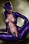  catwoman dc luciouslips tagme 