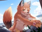  anthro bathing blush canine claws cloud cub fur hot_spring kemono looking_at_viewer male mammal muscular muscular_male nekojita outside partially_submerged rubber_duck sky smile solo standing steam sweat water wet young 