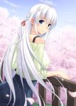  2018 bangs blue_eyes blue_skirt breasts cherry_blossoms dated day eyebrows_visible_through_hair floating_hair from_behind hair_between_eyes hair_ornament hair_ribbon large_breasts long_hair looking_at_viewer looking_back miyai_sen original outdoors pleated_skirt red_ribbon ribbon shirt silver_hair skirt smile solo standing very_long_hair 