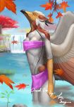  avian bandeau breasts clothed clothing dragon eastern_dragon egyptian_vulture eva_(ozawk) feathers female hybrid partially_submerged skimpy small_breasts solo wings 