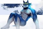  2018 abs absurd_res anthro canine dkqksms1004 fur hi_res looking_at_viewer male mammal muscular muscular_male pecs wolf 