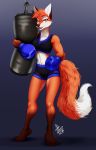  2018 4_toes abs anthro athletic bedroom_eyes black_nose boxing boxing_gloves bra breasts canine cleavage clothed clothing dakota_(cavix) dipstick_tail exercise eyebrows eyelashes female fox fur gloves_(marking) half-closed_eyes looking_at_viewer lui-ra mammal markings multicolored_fur multicolored_tail punching_bag red_fur red_tail seductive shorts signature simple_background socks_(marking) solo sport sports_bra tight_clothing toes training two_tone_fur two_tone_tail underwear white_belly white_fur white_tail workout yellow_eyes 
