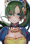  breasts choker cleavage commentary_request crying earrings fire_emblem fire_emblem:_rekka_no_ken fire_emblem_heroes green_eyes green_hair highres jewelry long_hair lyndis_(fire_emblem) necklace parted_lips ponytail ringozaka_mariko simple_background solo tears white_background 