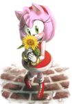  amy_rose anthro boots bracelet clothing dress female flower footwear gloves green_eyes hair hairband hedgehog hi_res jewelry mammal pink_hair plant short_hair signature solo sonic_(series) video_games 金色りんご 