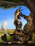  3_toes african_wild_dog anthro anthro_on_anthro black_nose canine claws duo eyes_closed fangs fur grass hyena mammal nude open_mouth outside paws sky spots spotted_fur swish toe_claws toes tongue tongue_out tree whiskers yellow_eyes 