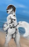  2018 backsack ball balls beach beach_ball canine dalmatian diara dog hair male mammal outside public sand seaside solo ulven-f water 