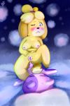 &lt;3 &lt;3_eyes 2018 anal anal_penetration animal_crossing anthro areola belly bob_(animal_crossing) breasts canine cum dog female inverted_nipples isabelle_(animal_crossing) male male/female mammal navel nintendo nipples nude penetration penis sex shih_tzu short_stack slightly_chubby thick_thighs video_games yiffnotgif 