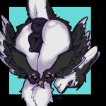 1:1 2026 3_fingers 3_toes 4_ears animal_genitalia animal_vulva anthro anus anus_focus ass_up avali avian bent_over big_anus big_butt big_pussy big_vulva biped bird black_anus black_background black_body black_border black_claws black_feathers black_finger_claws black_fur black_genitals black_sclera black_vulva blush border breath butt butt_focus camel_toe canine_genitalia canine_vulva canine_vulva_outline claws clothed clothing colored countershading digital_drawing_(artwork) digital_media_(artwork) elenmilk embarrassed feathered_wings feathers feet female female_anthro finger_claws fingers fluffy fur fyr_(fenrir784) genital_focus genital_outline genitals gesture glistening glistening_anus glistening_butt glistening_genitalia glistening_vulva hair half-closed_eyes hand_gesture head_turned heart_gesture hi_res huge_anus inviting inviting_viewer looking_at_viewer looking_back looking_back_at_viewer maleherm_(lore) middle_finger monotone_genitals multi_ear multicolored_body multicolored_fur narrowed_eyes nude open_mouth pawpads paws pink_pawpads plump_labia portrait pose praise_da_booty_(meme) presenting presenting_anus presenting_hindquarters presenting_vulva puckered_anus puffy_anus purple_eyes raised_tail rear_view shaded simple_background skimpy solo standing tail teeth thick_thighs three-quarter_portrait toes topless topless_anthro tuft tufted_fur two_tone_body two_tone_fur underfluffies vulva vulva_focus vulva_outline white_body white_countershading white_feathers white_fur white_tail wide_hips winged_arms wings