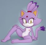  2018 anthro areola blaze_the_cat blush breasts cat colored digital_media_(artwork) feline female flat_chested fur hair hearlesssoul hi_res looking_at_viewer mammal monochrome multicolored_fur navel nipples nude presenting presenting_pussy purple_fur pussy smile solo sonic_(series) spread_legs spreading video_games white_fur yellow_eyes 