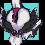 1:1 2026 3_fingers 3_toes 4_ears animal_genitalia animal_vulva anthro anus anus_focus ass_up avali avian bent_over big_anus big_butt big_pussy big_vulva biped bird black_anus black_background black_body black_border black_claws black_feathers black_finger_claws black_fur black_genitals black_sclera black_vulva blush border breath butt butt_focus camel_toe canine_genitalia canine_vulva canine_vulva_outline claws clothed clothing colored countershading digital_drawing_(artwork) digital_media_(artwork) elenmilk embarrassed feathered_wings feathers feet female female_anthro finger_claws fingers fluffy fur fyr_(fenrir784) genital_focus genital_outline genitals gesture glistening glistening_butt glistening_genitalia hair half-closed_eyes hand_gesture head_turned heart_gesture hi_res huge_anus ineffective_clothing ineffective_underwear inviting inviting_viewer looking_at_viewer looking_back looking_back_at_viewer maleherm_(lore) middle_finger monotone_genitals mostly_nude multi_ear multicolored_body multicolored_fur narrowed_eyes open_mouth panties panties_only partially_clothed pawpads paws pink_clothing pink_panties pink_pawpads pink_underwear plump_labia portrait pose praise_da_booty_(meme) presenting presenting_anus presenting_hindquarters presenting_vulva puffy_anus purple_eyes raised_tail rear_view shaded simple_background skimpy solo standing tail teeth thick_thighs three-quarter_portrait tight_clothing toes topless topless_anthro tuft tufted_fur two_tone_body two_tone_fur underfluffies underwear underwear_only vulva vulva_focus vulva_outline white_body white_countershading white_feathers white_fur white_tail wide_hips winged_arms wings