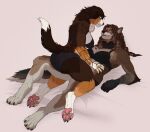 2026 anthro arm_tattoo bernese_mountain_dog bra breasts brown_hair canid canine canis claws clothing digital_media_(artwork) dipstick_tail domestic_dog dreadlocks duo eye_contact female female/female finger_claws fudgebane fur hair hi_res looking_at_another lying mammal markings molosser mountain_dog multicolored_body multicolored_fur on_back on_lap panties pawpads paws reclining sitting_on_lap swiss_mountain_dog tail tail_markings tattoo toe_claws underwear wolf yellow_eyes