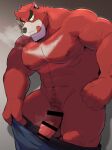  1boy abs animal_ears baishen_(shi_rosaru675) bakemono_no_ko bara bear_boy bear_ears biceps blue_pants censored closed_mouth clothes_pull commentary erection furry furry_male kumatetsu licking_lips looking_at_viewer male_focus muscular muscular_male navel nipples pants pants_pull pectorals penis plump red_fur smile testicles tongue tongue_out undressing untranslatable_commentary 