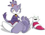 5_toes anthro blaze_the_cat burtreex discarded_footwear feet felid feline female foot_fetish foot_focus hi_res looking_at_viewer mammal purple_body sega simple_background sitting smelly_shoes solo sonic_the_hedgehog_(series) toes