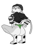 anthro beanie birriadelmal313 butt calico_cat clothing crouching domestic_cat ear_piercing epic_games felid feline felis female fortnite hat headgear headwear hi_res hoodie mammal meow_skulls pattern_clothing pattern_underwear pawpads piercing presenting presenting_hindquarters solo striped_clothing striped_underwear stripes topwear underwear wedgie