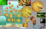 2022 aquatic brown_eyes dated fish gradient_body green_body hi_res leaf_fish model_sheet multicolored_body official_art ollie_(swapped) orange_body pink_body pookoo red_body species_name swapped_(movie) text two_tone_body underwater unknown_artist water yellow_body