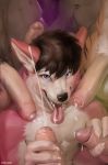  2018 anthro athletic balls black_hair blue_eyes canine chunie claws cum cum_drip cum_in_mouth cum_inside cum_on_chest cum_on_face cum_string cumshot detailed_background digital_media_(artwork) dog dripping ejaculation erection feline fur glans hair handjob hi_res humanoid_penis inside kneeling looking_at_viewer male male/male mammal muscular muscular_male navel nude open_mouth orgasm partially_retracted_foreskin penis penis_everywhere pink_fur precum pubes retracted_foreskin sex smile solo solo_focus standing tiger tongue tongue_out uncut vein veiny_penis white_fur 