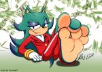  2017 3_toes anthro archie_comics barefoot black_nose breezie_the_hedgehog clothed clothing cornchip21 feet female foot_focus hair hedgehog mammal money paws soles sonic_(series) toes trowelhands wrinkles 