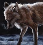  2014 ambiguous_gender black_nose canine feral kenket mammal solo whiskers wolf 