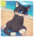  anus beach black_fur blue_eyes blush butt cat feline fur looking_at_viewer male mammal morgana_(persona) nude pawpads perineum pink_pawpads sea seaside semi-anthro solo tongue tongue_out towel water wet white_fur zackary911 