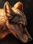  2014 black_nose canine feral kenket mammal solo wolf 