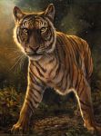  2014 feline feral fur kenket mammal outside solo striped_fur stripes tiger toes whiskers yellow_eyes 
