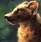  2014 kenket looking_at_viewer mammal marten mustelid pine_marten solo whiskers 