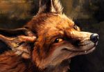  2014 black_nose canine fox fur kenket mammal smile solo whiskers yellow_eyes 
