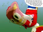  amy_rose animate_inanimate clothing female foot_focus legwear musk purplethecharmander smelly socks sonic_(series) sweat text transformation 