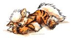  2014 4_toes ambiguous_gender arcanine black_nose claws eyes_closed fangs feral fur kenket nintendo pok&eacute;mon pok&eacute;mon_(species) simple_background solo striped_fur stripes toe_claws toes video_games white_background 