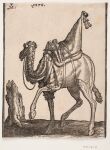 1576 16th_century 2_toes absurd_res ambiguous_feral ambiguous_gender ancient_art bell camel camelid dated digitigrade dromedary feet feral fur halter hatching_(art) hi_res leash looking_aside mammal melchior_lorck monochrome public_domain quadruped saddle shaded side_view signature simple_background solo standing tail tassels toes traditional_media_(artwork) tree_stump