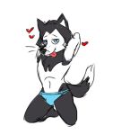  &lt;3 bau_husky bulge canine clothing dog gabshiba husky jaycob(artist) male mammal siberian_husky solo tongue tongue_out underwear 