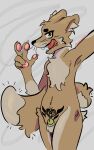 5:8 anthro belly blush caffinid canid canine chastity_cage chastity_cage_only chastity_device chastity_device_only chest_tuft ears_back fluffy fluffy_chest fluffy_tail fox genitals half-closed_eyes hi_res hip_tuft male mammal narrowed_eyes nude pivoted_ears posing_for_picture selfie solo tail tongue tongue_out tuft unsupported_chastity_cage wearing_chastity_cage wearing_chastity_device womb_tattoo