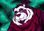 2022 anthro bear blizzard_entertainment blue_eyes clothing digital_media_(artwork) hair icon looking_at_viewer male mammal markings muscular night nours_(pandanours) pandanours pandaren purple_hair simple_background sky solo warcraft