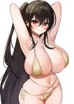  1girl absurdres armpits arms_behind_head arms_up azur_lane bare_shoulders bikini black_hair blush breasts cleavage commentary grey_bikini highres large_breasts long_hair looking_at_viewer marumai navel one_side_up red_eyes skindentation smile solo swimsuit taihou_(azur_lane) taihou_(seaside_daydreams)_(azur_lane) very_long_hair 