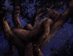  alcohol ambiguous_gender anthro beverage kenket mammal night sky solo star starry_sky traditional_media_(artwork) tree whiskers 