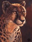  2012 ambiguous_gender black_nose blotch cheetah feline feral fur mammal solo spots spotted_fur whiskers yellow_eyes 