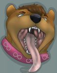  black_nose collar denotec digital_drawing_(artwork) digital_media_(artwork) drooling hair infinite_devotee male mammal mustelid open_mouth otter saliva silvereyes_valentino teeth tongue tongue_out 