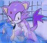  blaze_the_cat sonic_team sonic_the_hedgehog tagme 