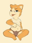  anthro belly blue_eyes blue_pupils briefs brown_fur bulge canine clothed clothing clothing_lift cub dog erection eyewear fur glasses male mammal navel shiba_inu shibubaman shirt shirt_lift simple_background sitting slightly_chubby solo spread_legs spreading tongue tongue_out underwear young 