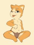  anthro belly blue_eyes blue_pupils briefs brown_fur bulge canine clothed clothing cub dog erection eyewear fur glasses male mammal navel shiba_inu shibubaman simple_background sitting slightly_chubby solo spread_legs spreading tongue tongue_out topless underwear young 