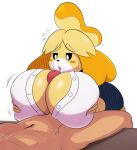  animal_crossing anthro big_breasts blush breasts canine clothed clothing dog female huge_breasts human isabelle_(animal_crossing) male male/female mammal nintendo penis sex shih_tzu sssonic2 titfuck video_games 