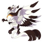  2018 alpha_channel ambiguous_gender avian beak black_beak black_feathers claws digital_media_(artwork) feathered_wings feathers gryphon pawpads simple_background smile thefluffehgryphon transparent_background white_feathers wings yellow_eyes 