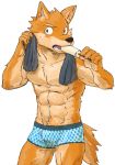  abs anthro biped black_eyes black_nose brown_fur bulge canine clothed clothing dog eating eyebrows food fur holding_food holding_object kemono male mammal multicolored_fur muscular muscular_male open_mouth popsicle pubes royalsobatya simple_background solo standing sweat tan_fur teeth topless towel towel_around_neck two_tone_fur underwear white_background 
