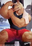  18plusplus 2018 5_fingers anthro bench biceps black_topwear blue_eyes brown_eyes bulge canine clenched_teeth clothing dog flexing fur gym hand_on_arm humanoid_hands looking_at_viewer male mammal manly muscular muscular_male on_bench patreon pecs red_bottomwear sharp_teeth shirt shorts signature sitting solo spread_legs spreading tan_fur tan_hair tank_top teeth towel triceps weights 