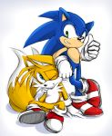  anthro canine clothing duo footwear fox gloves hedgehog male mammal miles_prower one_eye_closed rb sonic_(series) sonic_the_hedgehog video_games 